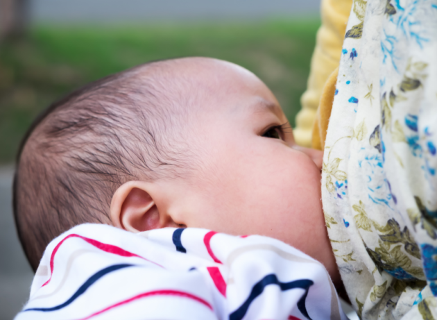 Baby doing successful breastfeeding