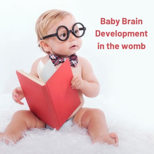 baby able to read a book showing brain development during pregnancy