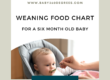 food chart for a six month baby