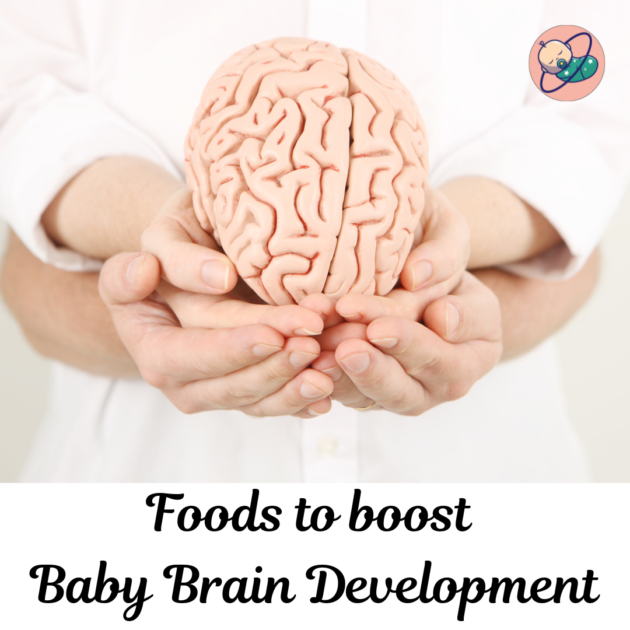 foods to boost baby brain development