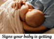 signs your baby is getting enough breastmilk